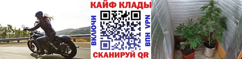 Купить закладку Цимлянск Кокаин  Амфетамин  ГАШ  МЕФ  A PVP 