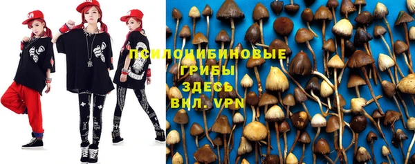 гидропоника Абинск
