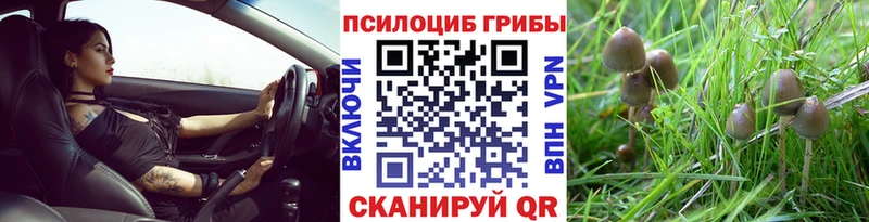 Псилоцибиновые грибы прущие грибы Цимлянск
