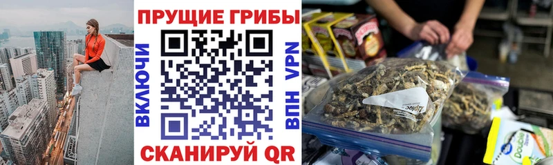 сколько стоит  Цимлянск  KRAKEN рабочий сайт  Галлюциногенные грибы Cubensis 